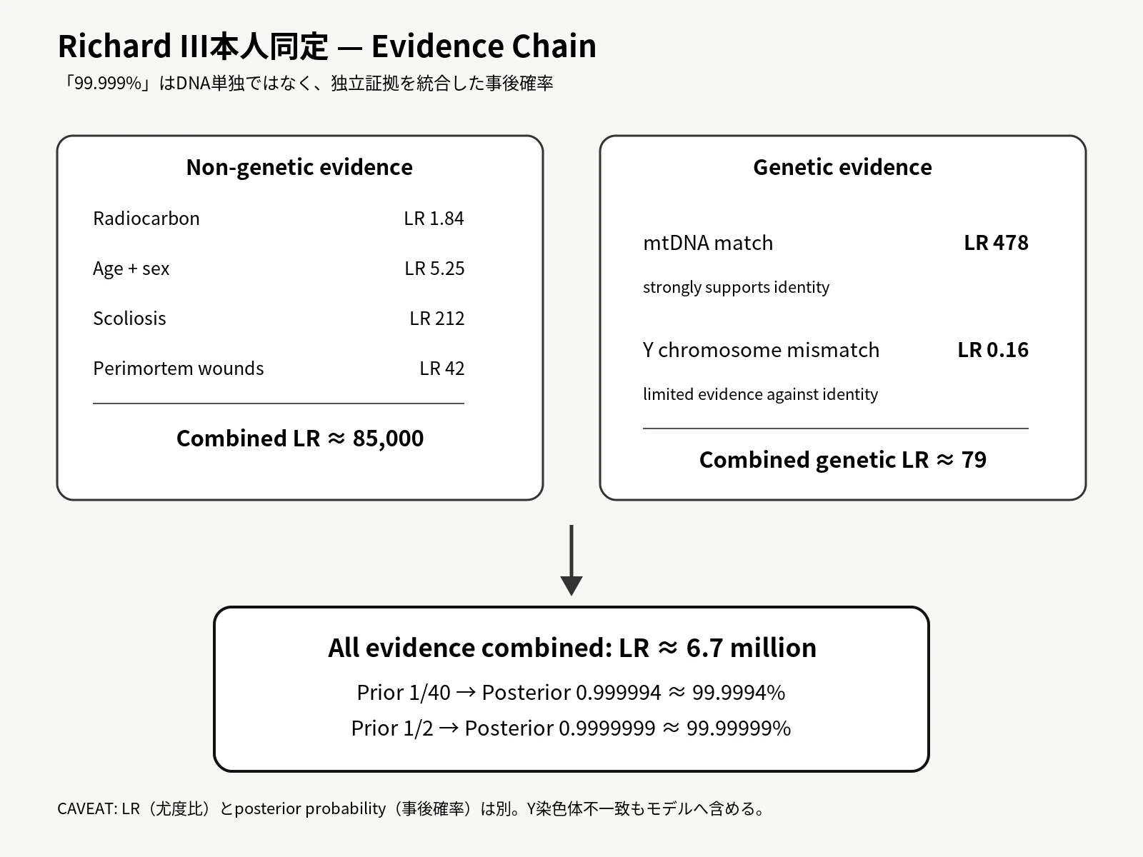 リチャード3世本人同定のEvidence Chain