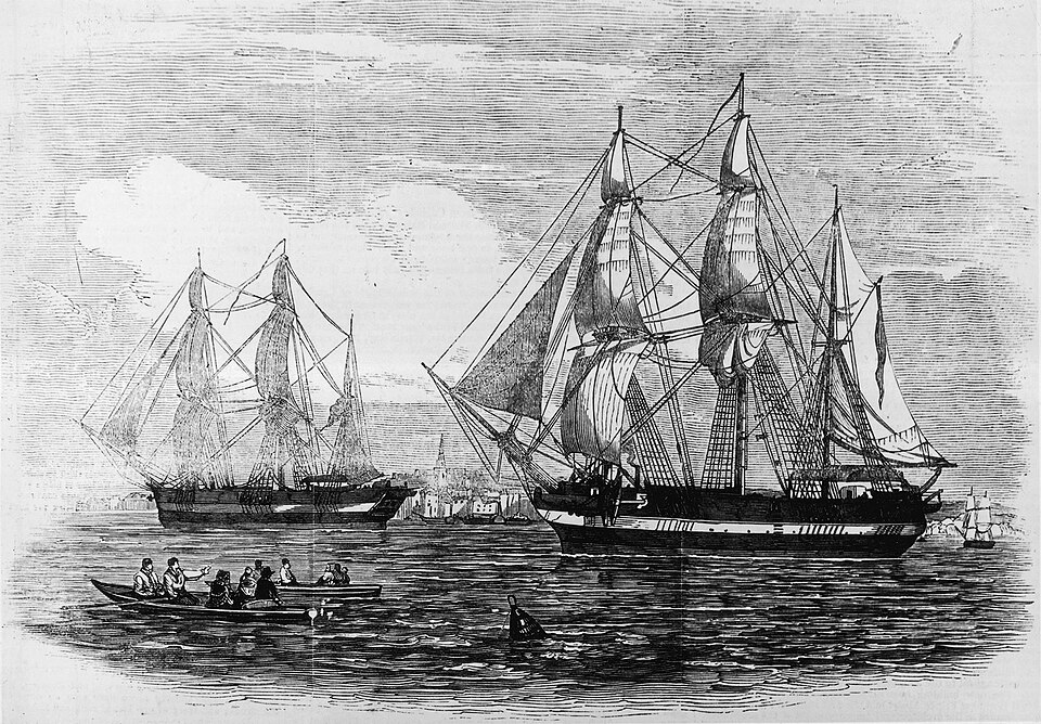 HMS ErebusとTerrorとはどんな船だったのか｜129人を北極へ運んだ2隻と遠征隊