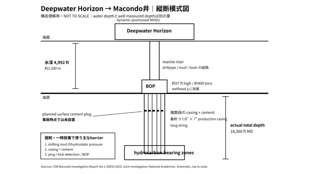 Deepwater Horizonから海底BOP、Macondo井までの構造を示す模式図