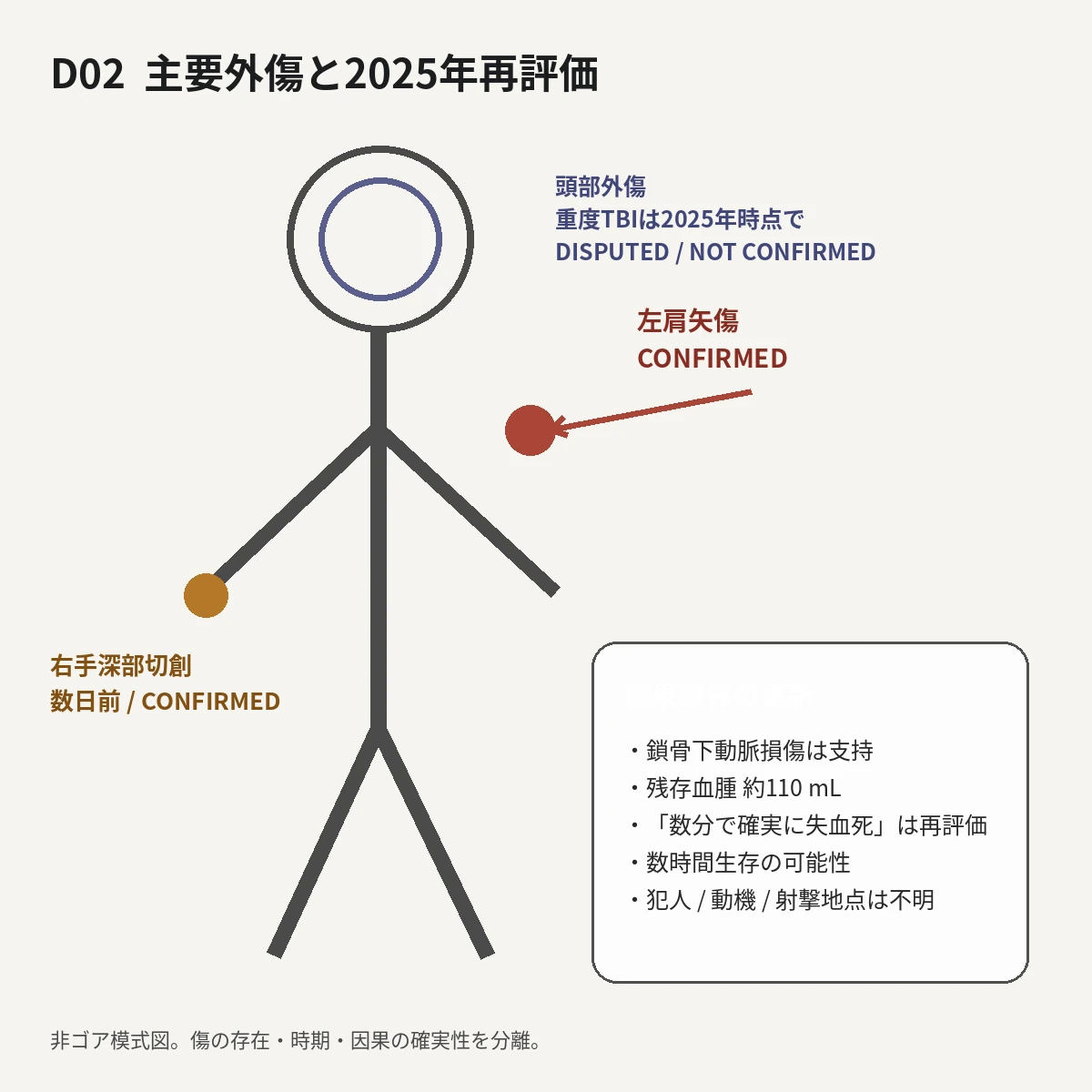 主要外傷と2025年再評価を分けた法医学模式図