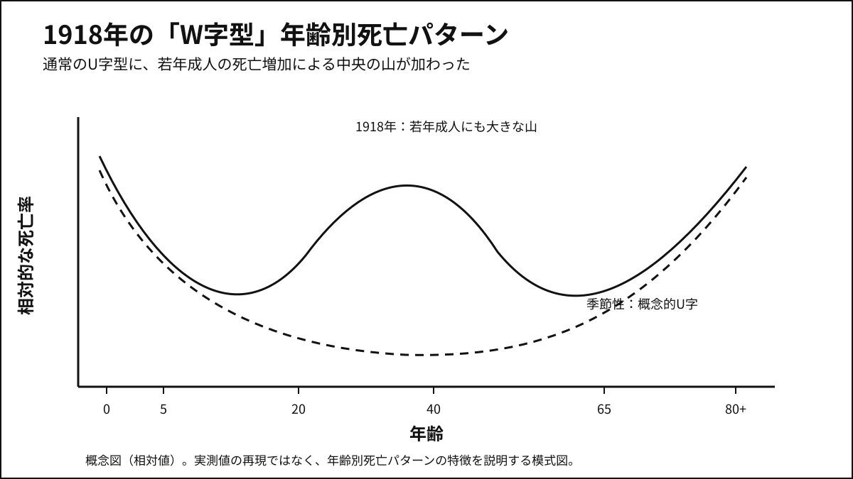 1918年インフルエンザで若年成人にも死亡ピークが現れるW字型死亡曲線の概念図