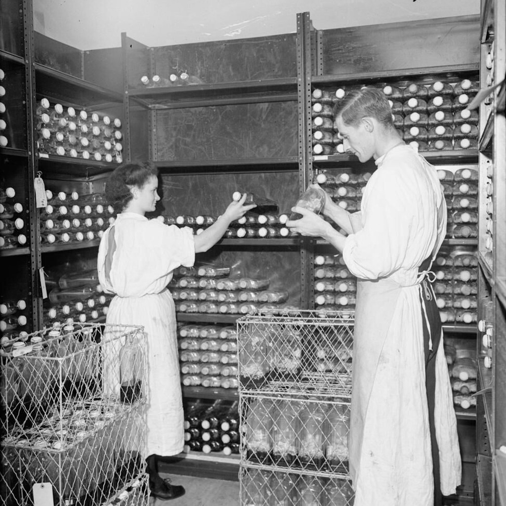 1944年、Royal Navy Medical Schoolで行われるペニシリン生産。