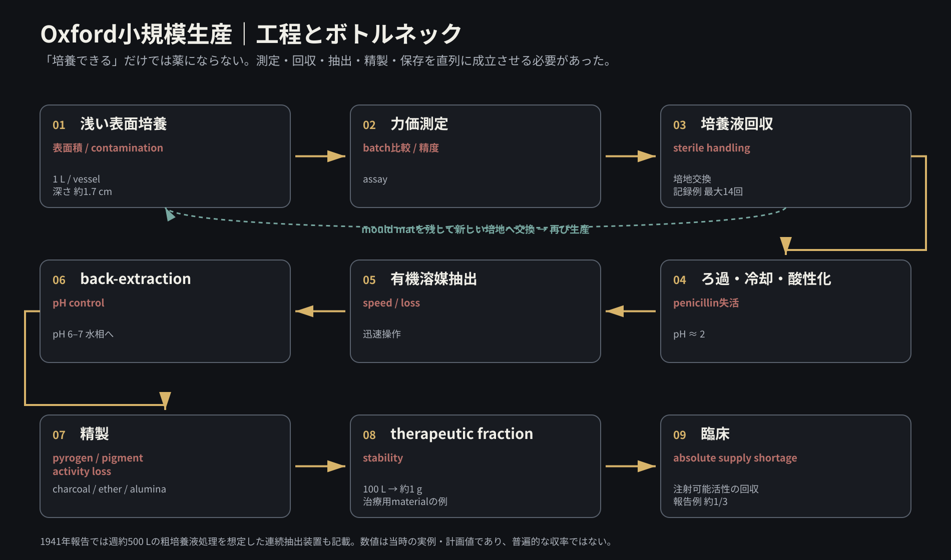 Oxfordにおけるペニシリン少量生産の培養・測定・抽出・精製・臨床までの工程図