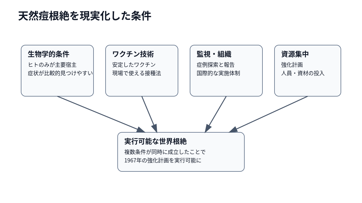 天然痘根絶を可能にした生物学的条件、ワクチン技術、監視体制、国際協力の関係を整理した図。