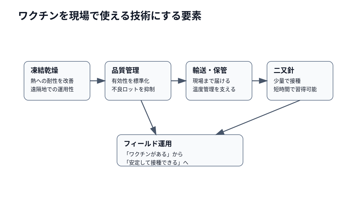 凍結乾燥ワクチン、品質管理、二又針などが現場運用を支えた関係を示す図。