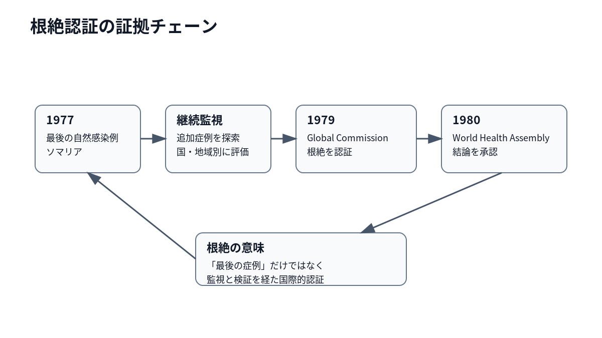 追加症例の不存在確認、国・地域別評価、Global Commission、WHA承認へ至る認証工程を示す図。