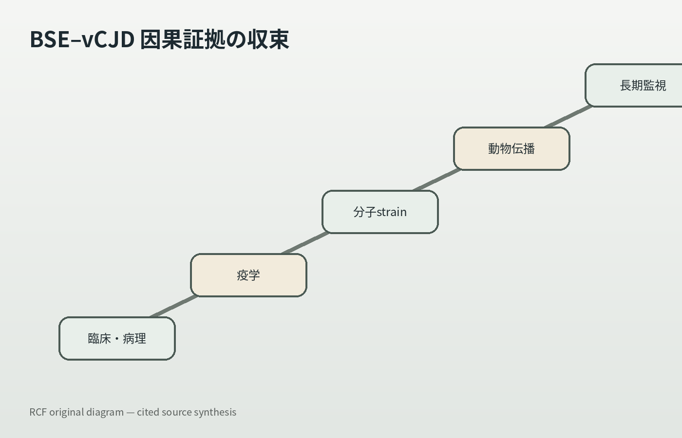 CASE081-06の記事内容を整理したオリジナル図解。